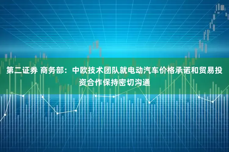 第二证券 商务部：中欧技术团队就电动汽车价格承诺和贸易投资合作保持密切沟通