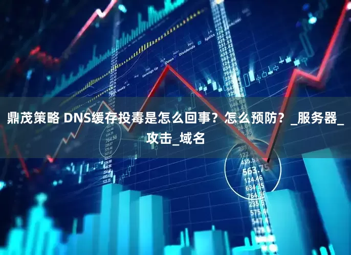 鼎茂策略 DNS缓存投毒是怎么回事？怎么预防？_服务器_攻击_域名