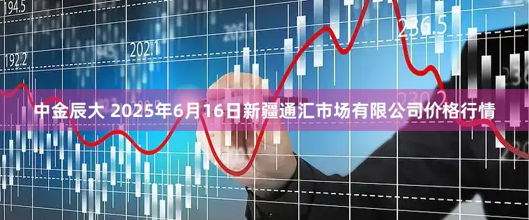 中金辰大 2025年6月16日新疆通汇市场有限公司价格行情