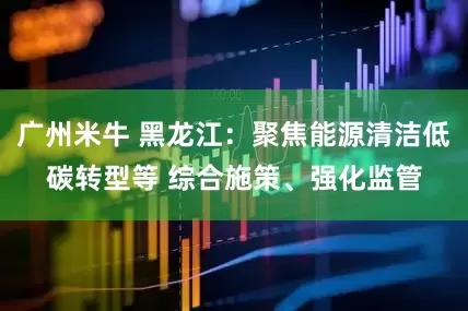 广州米牛 黑龙江：聚焦能源清洁低碳转型等 综合施策、强化监管