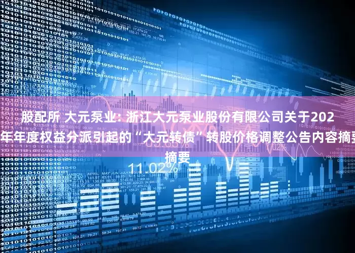 股配所 大元泵业: 浙江大元泵业股份有限公司关于2024年年度权益分派引起的“大元转债”转股价格调整公告内容摘要